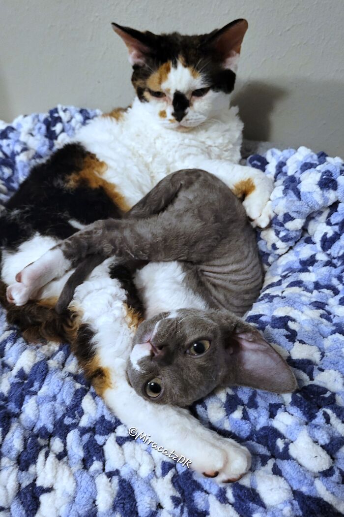 Magick Using Her Momma Nora's Foot As A Pillow