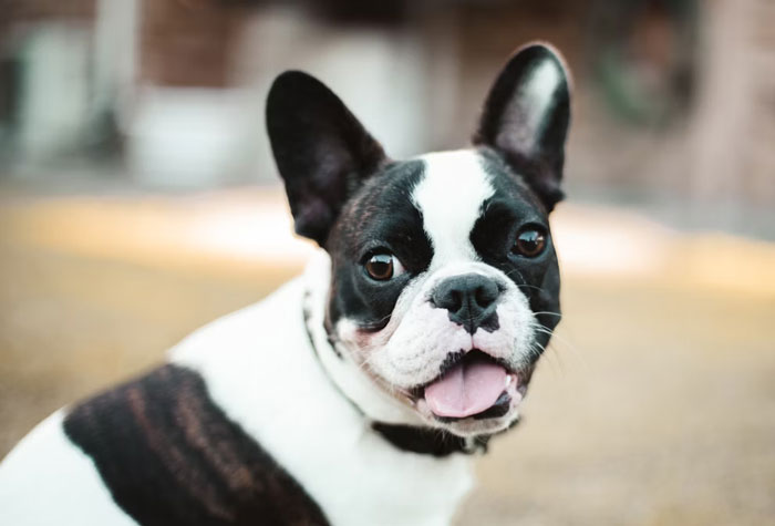 35 Wild And Untold Secrets Shared Anonymously In This Online Thread