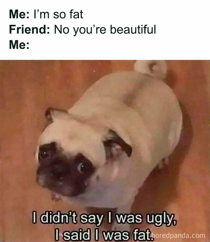 Hilarious-Sarcasm-Memes