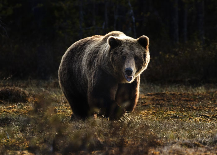 “What’s Your Favorite True Statistic That Makes People Do A Double Take When They Hear It?” (30 Answers)