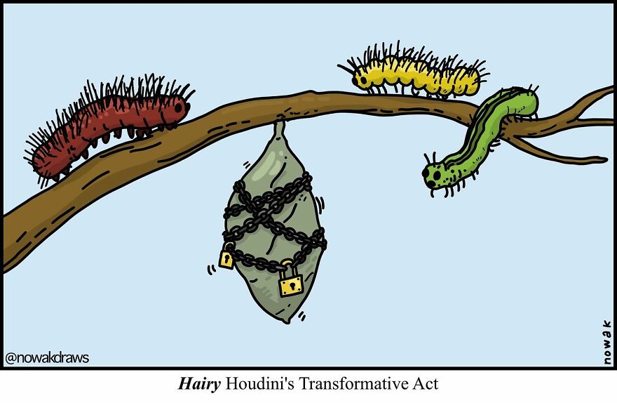 31 Wholesome Yet Hilarious Single Panel Comics From Artist Joseph Nowak (New Pics)