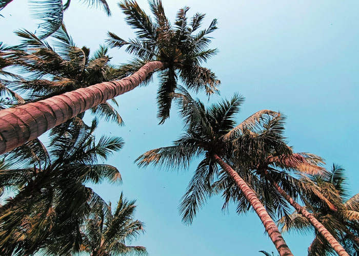 “What’s Your Favorite True Statistic That Makes People Do A Double Take When They Hear It?” (30 Answers)