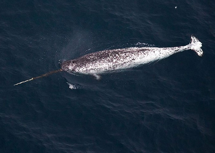 20 Datos científicamente probados que la gente se niega a aceptar