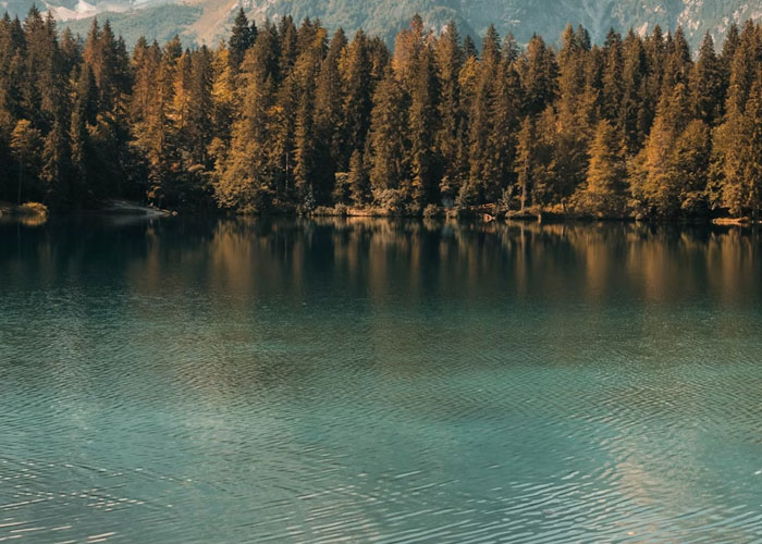 “What’s Your Favorite True Statistic That Makes People Do A Double Take When They Hear It?” (30 Answers)