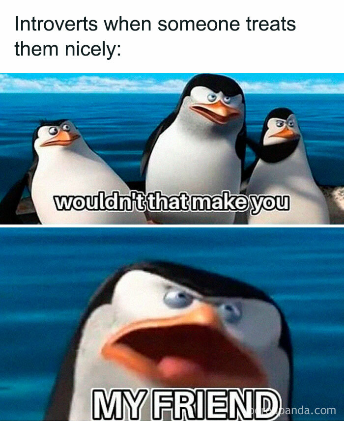 Introvert-Mojo-Memes