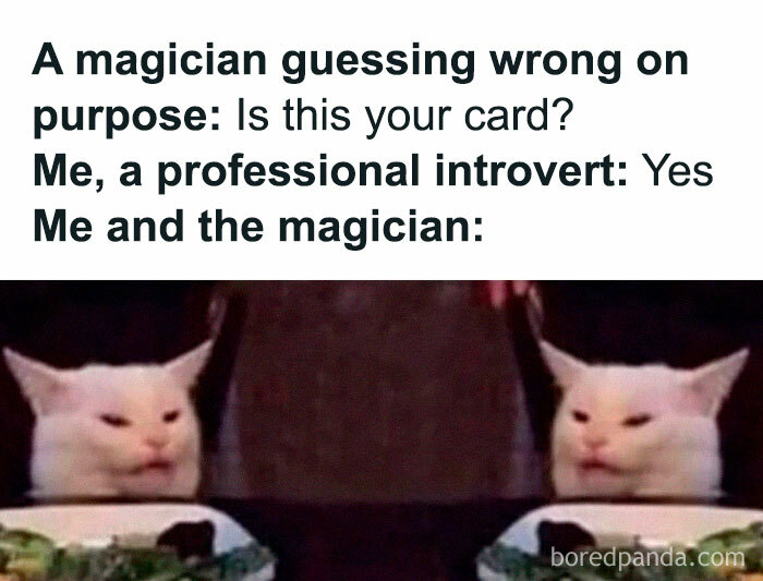 Introvert-Mojo-Memes