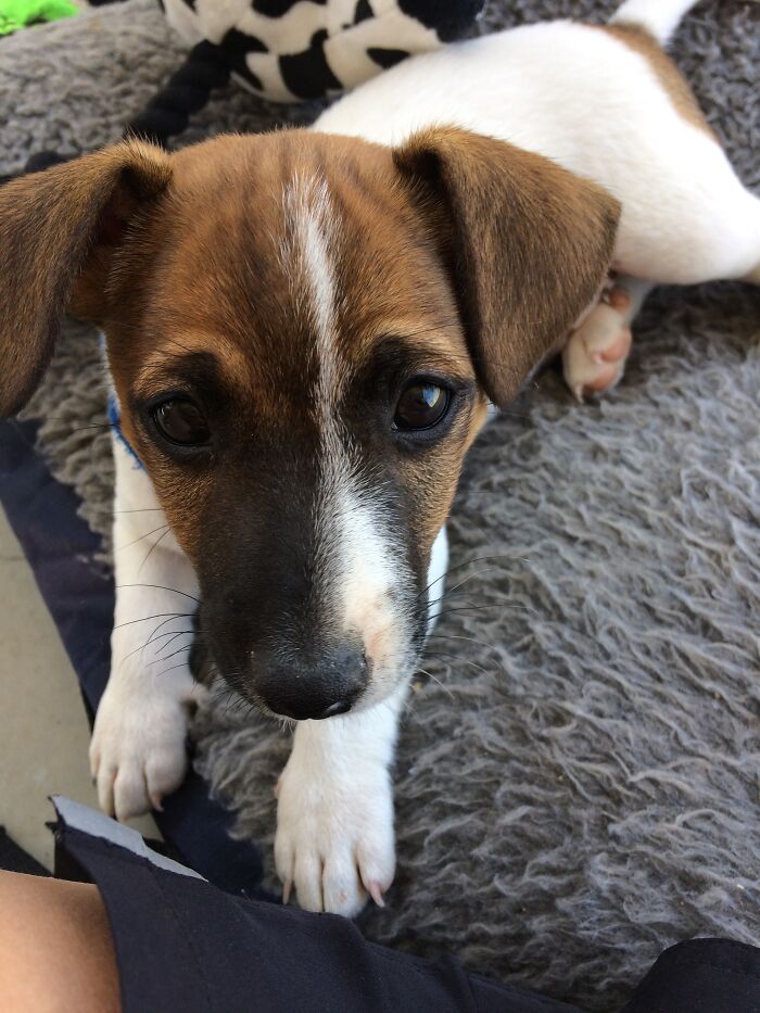 When We First Got Tex