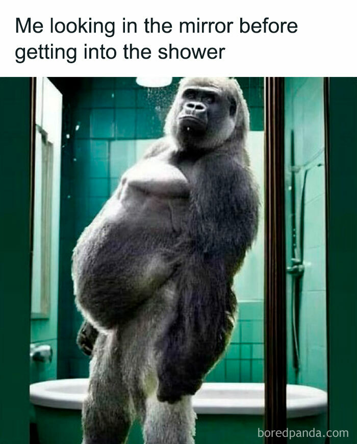 Hilarious-Sarcasm-Memes