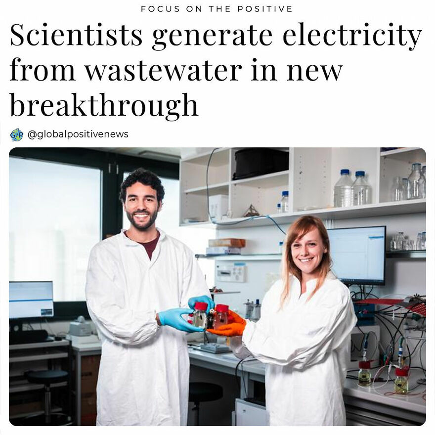 A Research Team At The Ecole Polytechnique Federale De Lausanne In Switzerland Has Reported A Groundbreaking Achievement In Bioelectronics