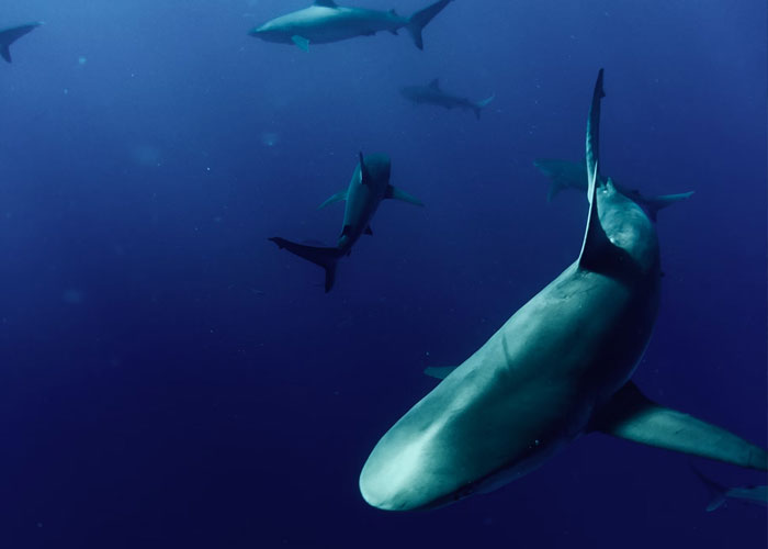 “What’s Your Favorite True Statistic That Makes People Do A Double Take When They Hear It?” (30 Answers)