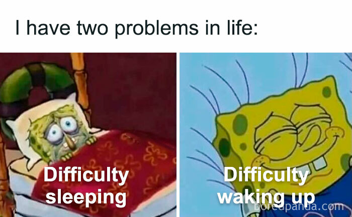 Hilarious-Sarcasm-Memes