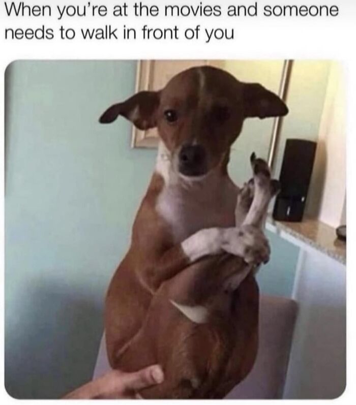 Funny-Nice-Relatable-Memes