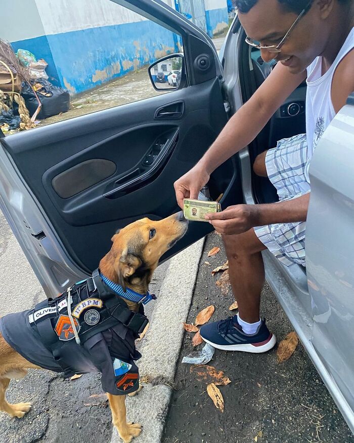 Hired With No Experience: Street Dog Persistently Visited Police Station Until He Got Adopted Hired With No Experience: Street Dog Persistently Visited Police Station Until He Got Adopted