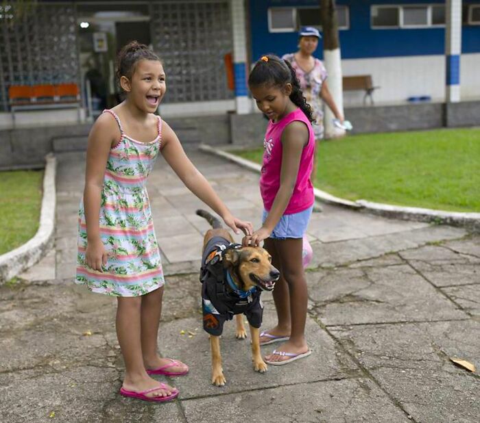Hired With No Experience: Street Dog Persistently Visited Police Station Until He Got Adopted Hired With No Experience: Street Dog Persistently Visited Police Station Until He Got Adopted