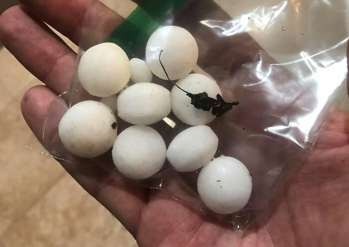 911 Calls During Which Dispatchers Could Barely Stop Themselves From Laughing (35 Moments) - 19