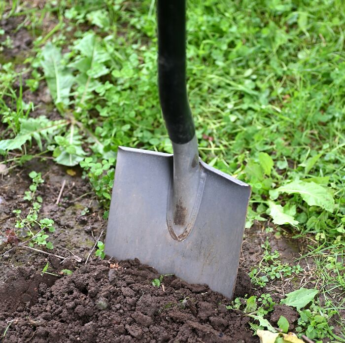 20 Encuentros increíblemente extraños con desconocidos que estas personas no pueden olvidar