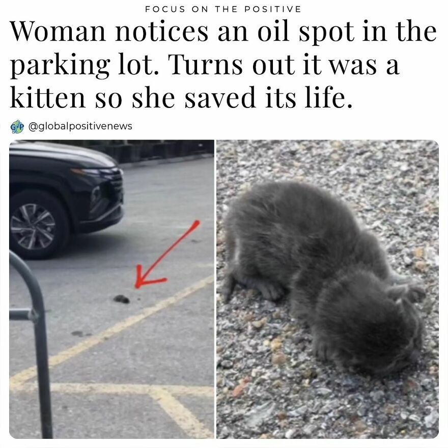 Rose Hunter From Lincoln, Ne, Is A Self-Proclaimed “Houseplant Addict”