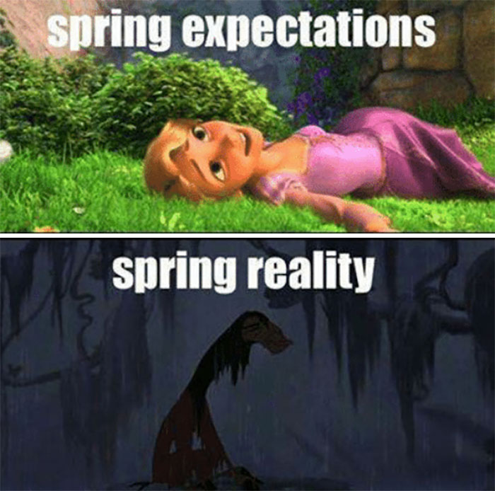 "Funny meme comparing spring expectations vs. reality with cartoon characters and contrasting scenes."