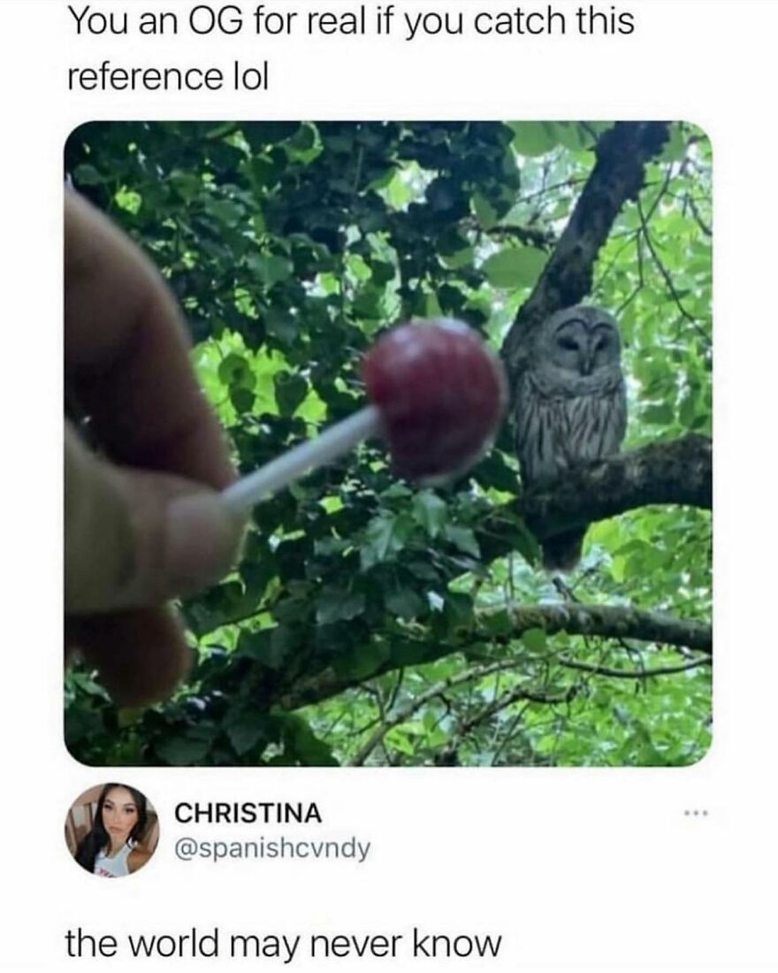 ❤️🎼lollipop Lollipop Owl Lolli Lollipop