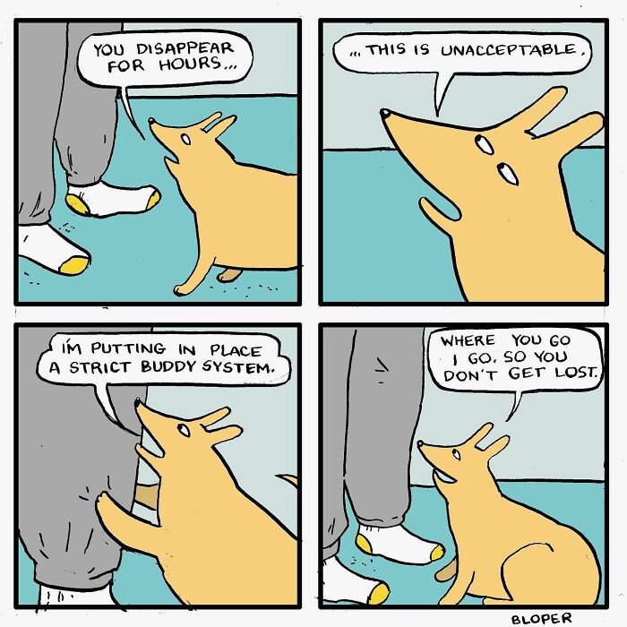 Meet Hammy, The Yellow Dog Who Conquered The Internet With His Unique Personality