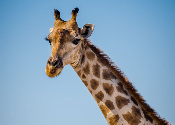 20 Datos científicamente probados que la gente se niega a aceptar