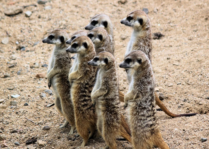 “What’s Your Favorite True Statistic That Makes People Do A Double Take When They Hear It?” (30 Answers)