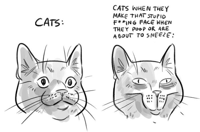 Meet Kasia Babis' Random Comics