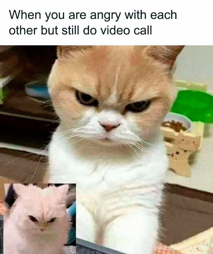 Hilarious-Sarcasm-Memes