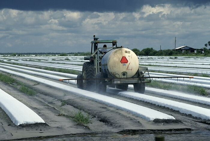 23 Examples Of Dangerous But Perfectly Legal Things That People Own