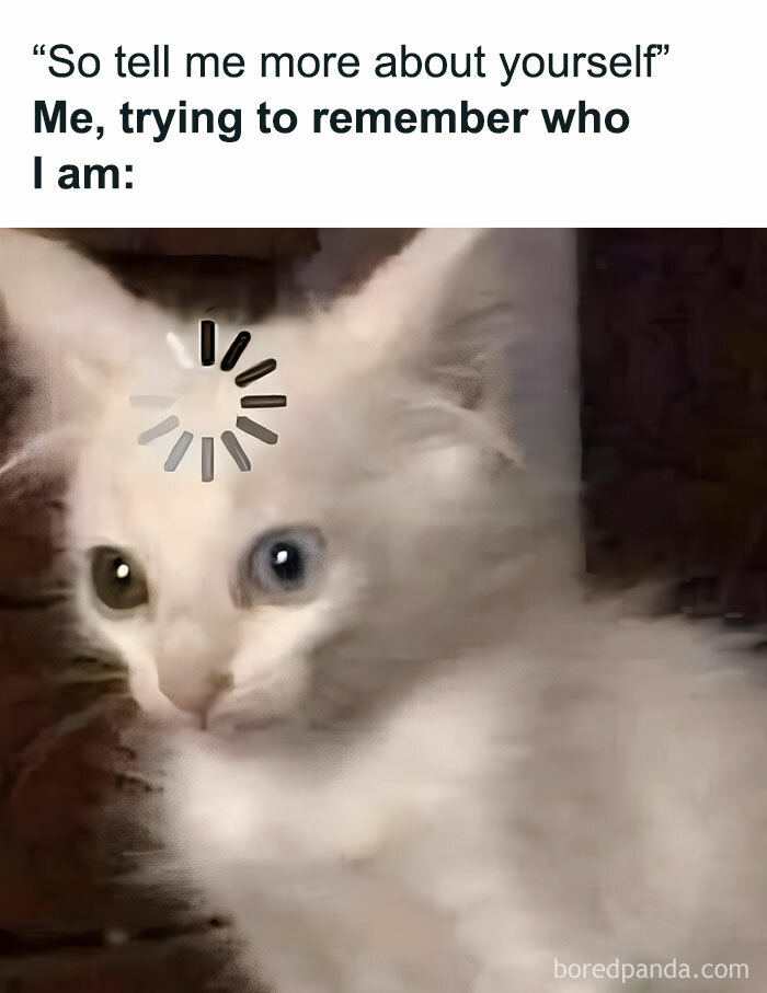 Hilarious-Sarcasm-Memes