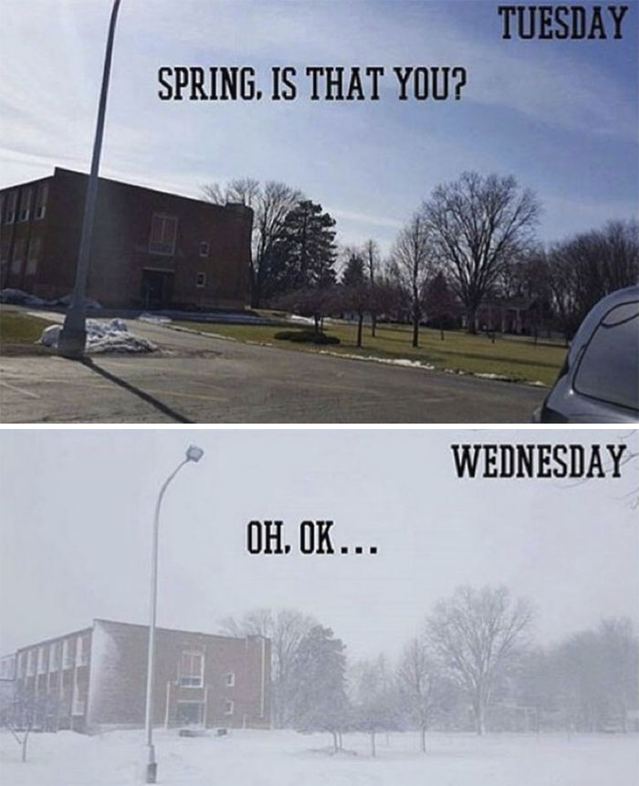 "Funny meme showing spring's unpredictable weather; sunny day turns snowy overnight with captions."