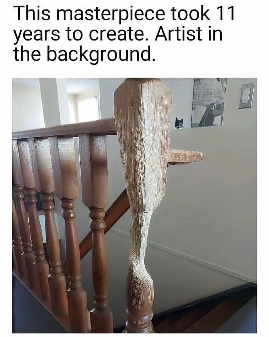 My Horse Can Create This In One Week 😂