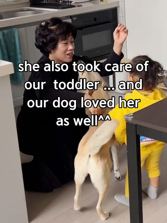 Woman Shares What Life Is Like With A Korean Postpartum Nanny, Goes Viral On TikTok Woman Shares What Life Is Like With A Korean Postpartum Nanny, Goes Viral On TikTok