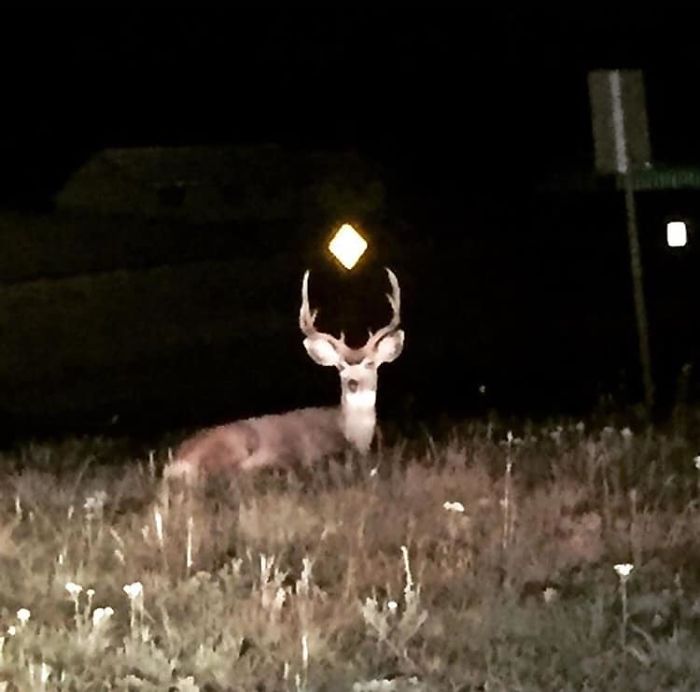 Didn’t Know I Was Playing The Sims