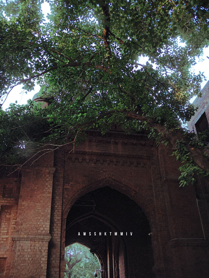 Main Gate From Inside The College