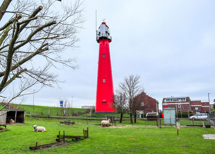 Boy, 9, Put In Care Program After Strangling 11 Animals At Petting Zoo
