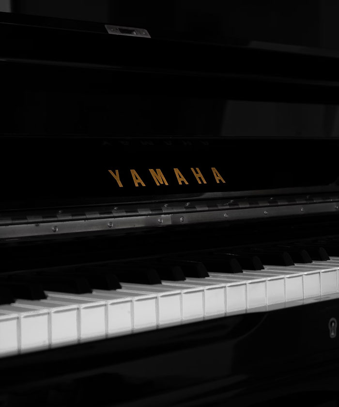 "¿Qué empresas tienen estándares de calidad extremadamente altos para sus productos?": 20 respuestas inesperadas