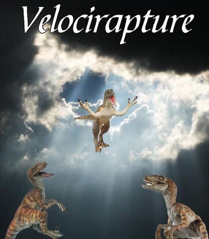 Funny-Nice-Relatable-Memes