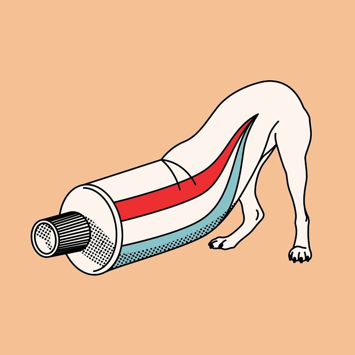 Illustrations By Adela Madej