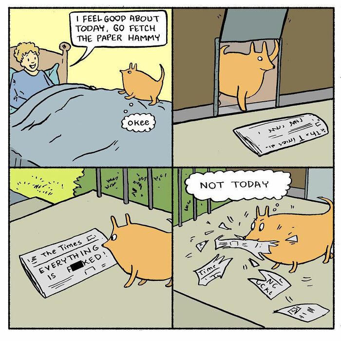 Meet Hammy, The Yellow Dog Who Conquered The Internet With His Unique Personality