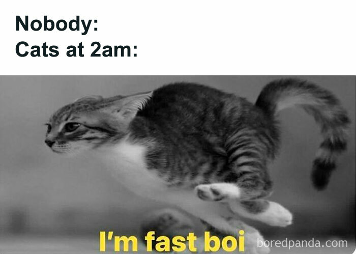 Hilarious-Sarcasm-Memes