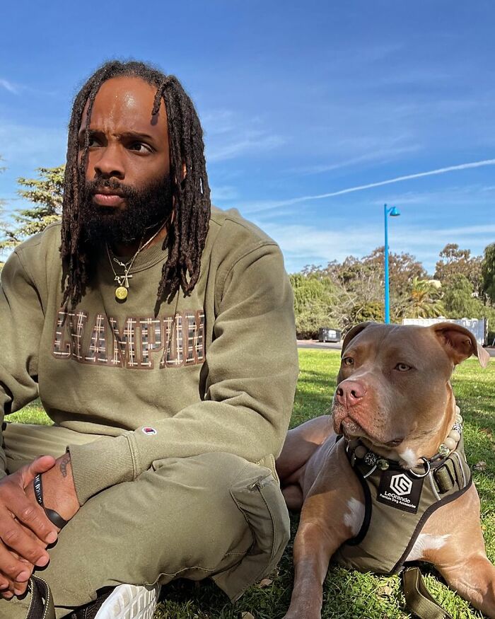 Pit Bull Overjoyed When She Finally Has Friends To Play With After Being Avoided By Other Dogs