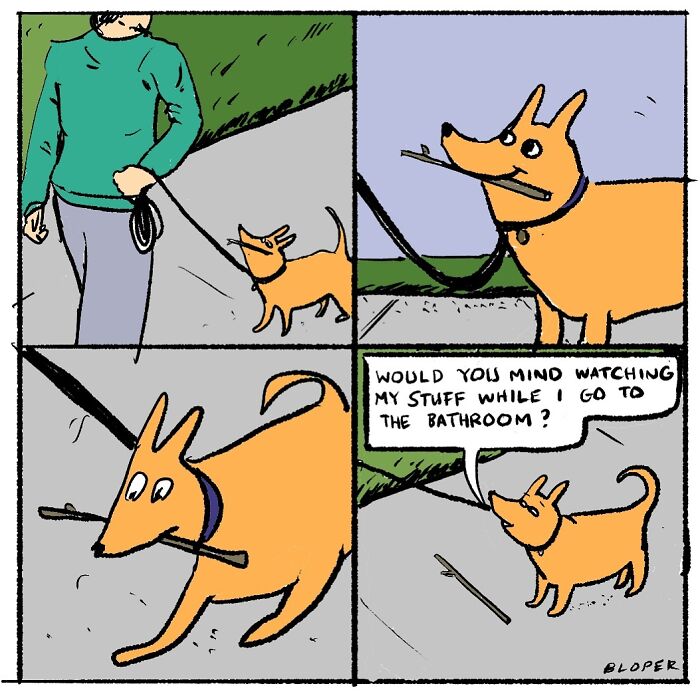 Meet Hammy, The Yellow Dog Who Conquered The Internet With His Unique Personality