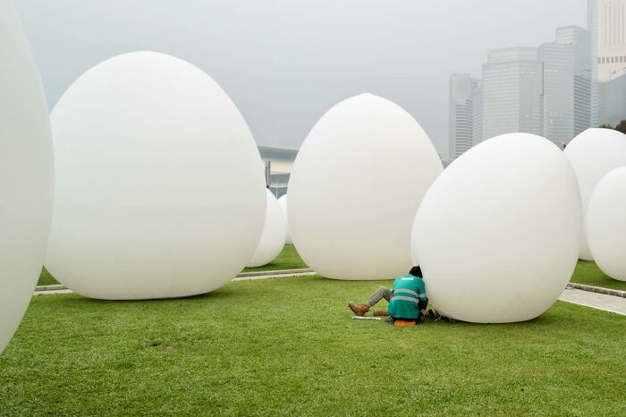 Lucky Coincidences: 20 Perfectly Timed Pictures Taken By Edas Wong (New Pics)