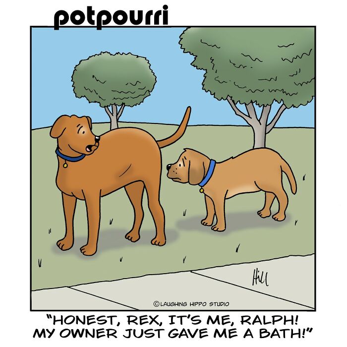 30 Humorous One-Panel Comics By This 76-Year-Old Artist (New Pics)