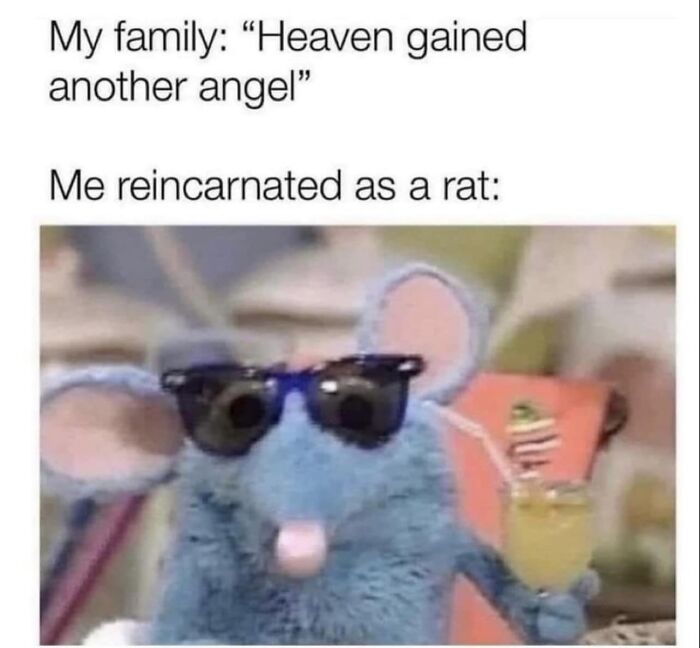 Funny-Nice-Relatable-Memes