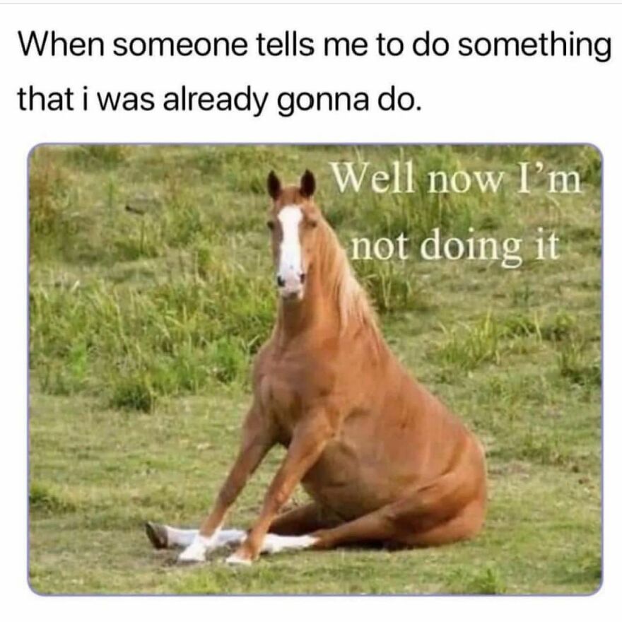 That’s Like Every Horse I’ve Ever Put A Bet On…….😢