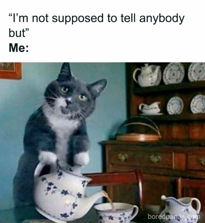 Hilarious-Sarcasm-Memes