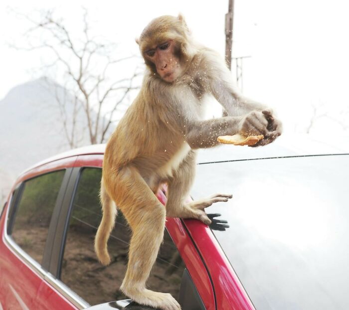 “He Never Came Back”: 40 Things People Know They Saw But Don’t Have Any Proof Of