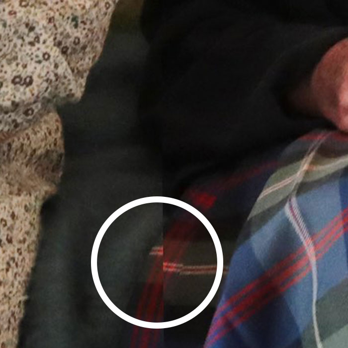 Photo Agency Reveals Kate Middleton&rsquo;s Snap Of Queen Elizabeth II Was Also Badly Photoshopped